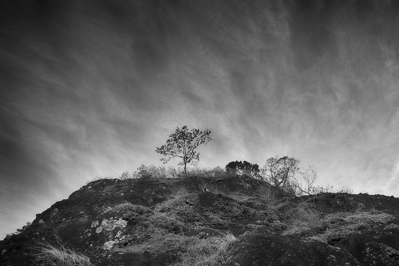 Foto a blanco y negro paisaje