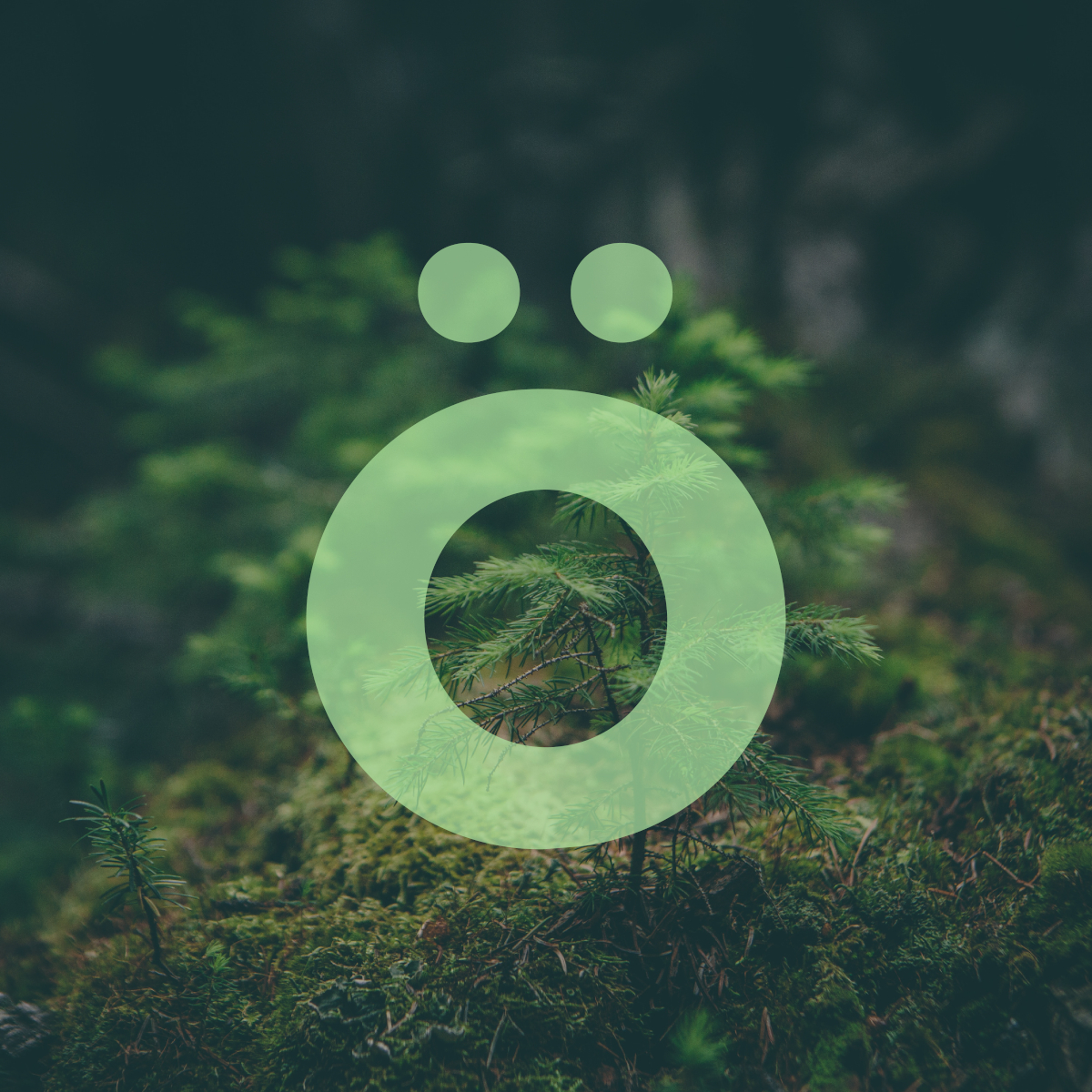 nuestro_bosque